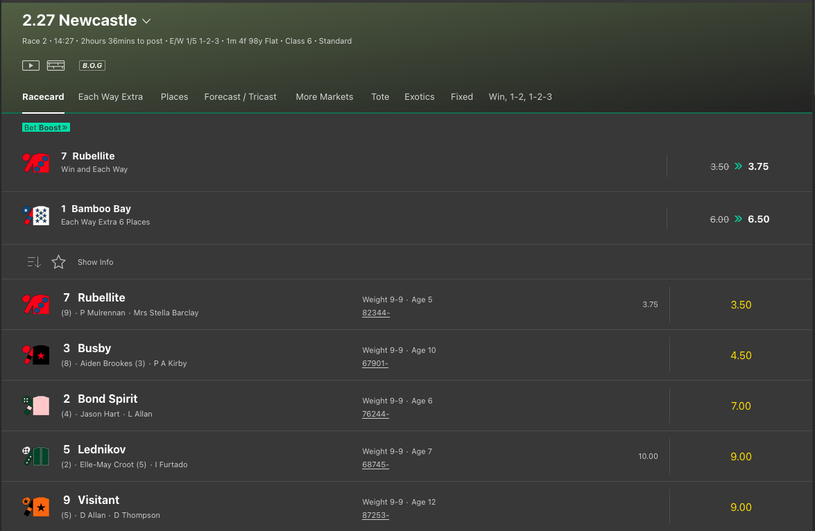 Screenshot of Newcastle horse race odds Bet365